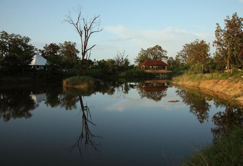 ホテル Tuli Tiger Corridor