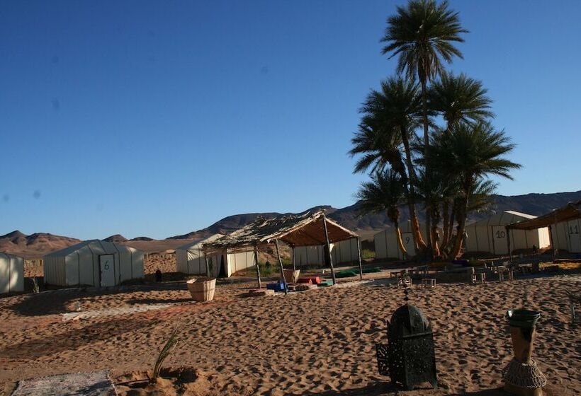 Отель Zagora Desert Camp