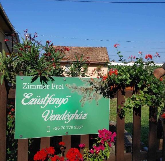 پانسیون Ezüstfenyő Vendégház
