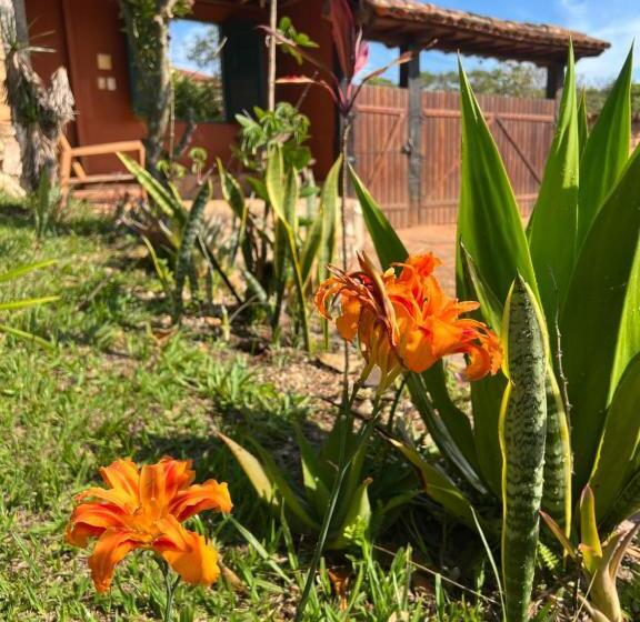 ペンション Pousada Refazenda   Milho Verde
