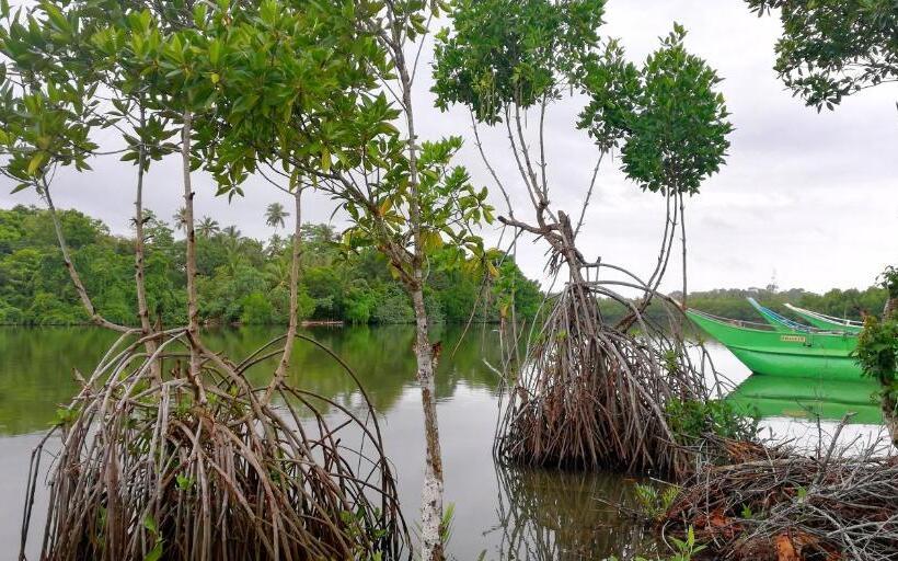 צימר Lake Paradise