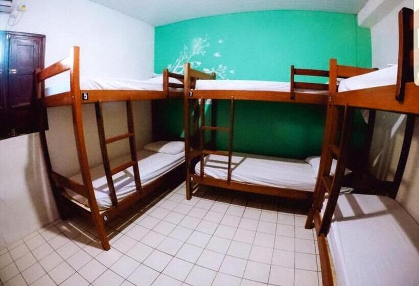 Hostel Maragogi