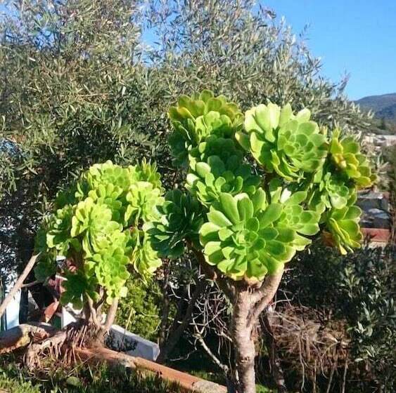 پانسیون Gite L Ile Du Caroubier