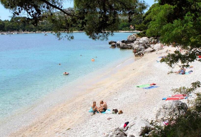 پانسیون Rooms With A Parking Space Srebreno, Dubrovnik 4790