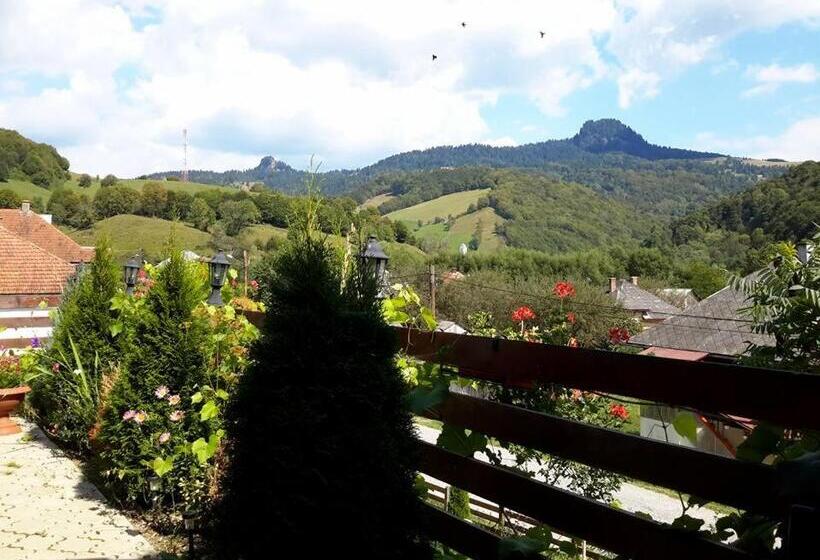 Pensiunea Casa Motilor