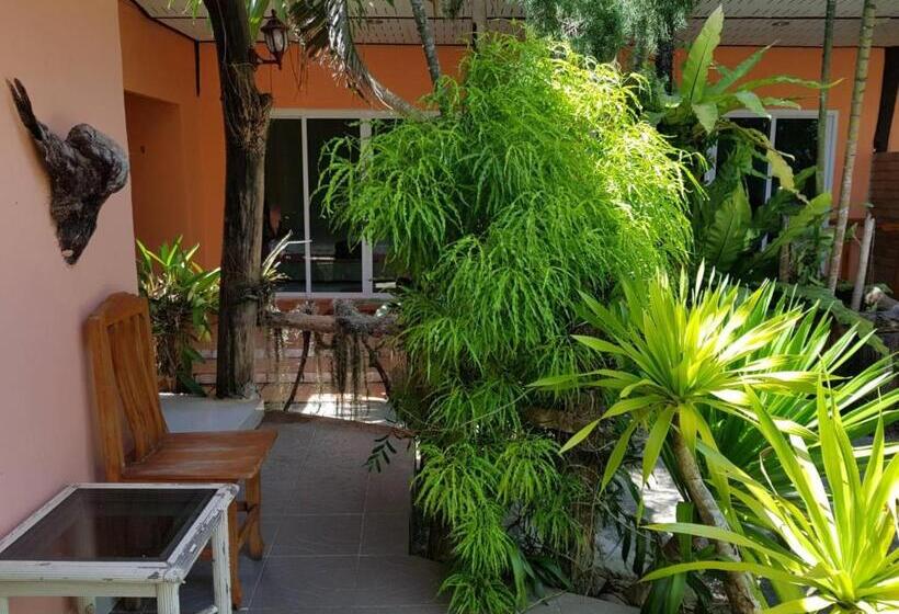 استراحتگاه Discovery House Hotel Sha Plus