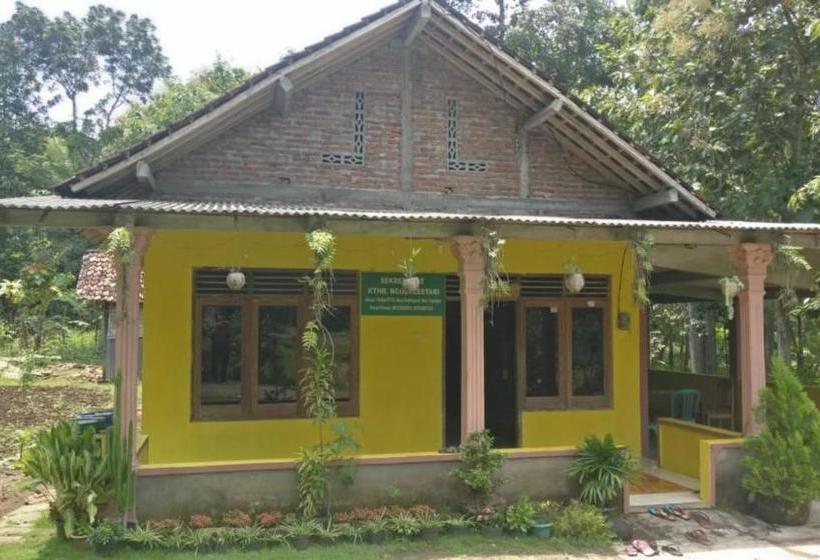 هاستل Argosari Homestay Syariah