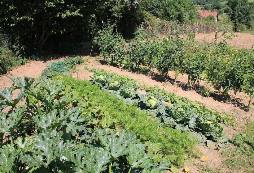 ベッドアンドブレックファースト Le Haut Mesnil 5