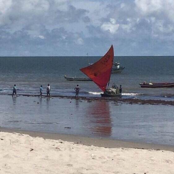 簡易ホテル Pousada O Bom Do Mar