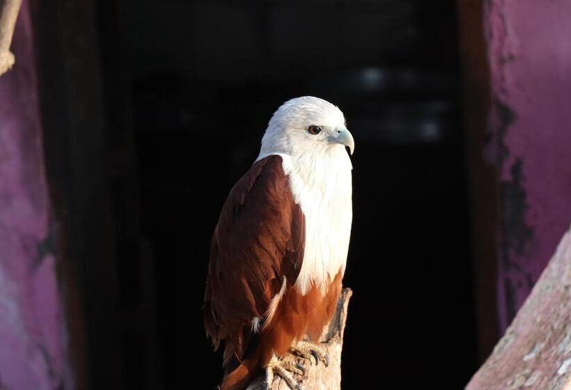 ホテル Sreekrishna Houseboats