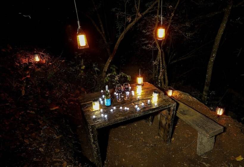 فندق Treehouse Chalets