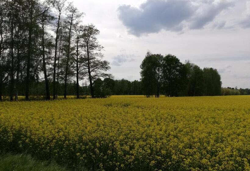پانسیون Am Waldrand Spreewald