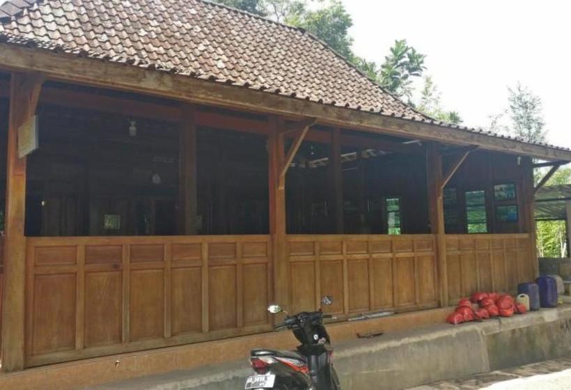 펜션 Homestay Joyo