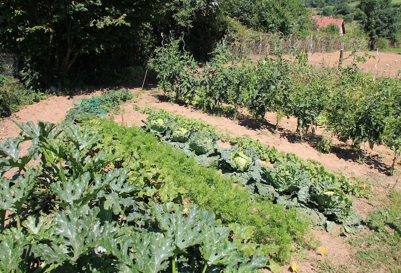 ペンション Le Haut Mesnil   8