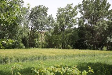 پانسیون Maison D'hôte Tizwiyate Dades