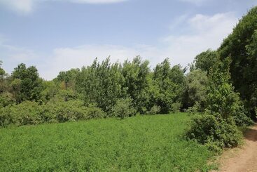 پانسیون Maison D'hôte Tizwiyate Dades