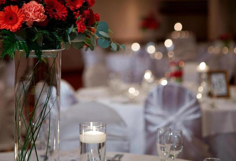 ホテル Austin Marriott North