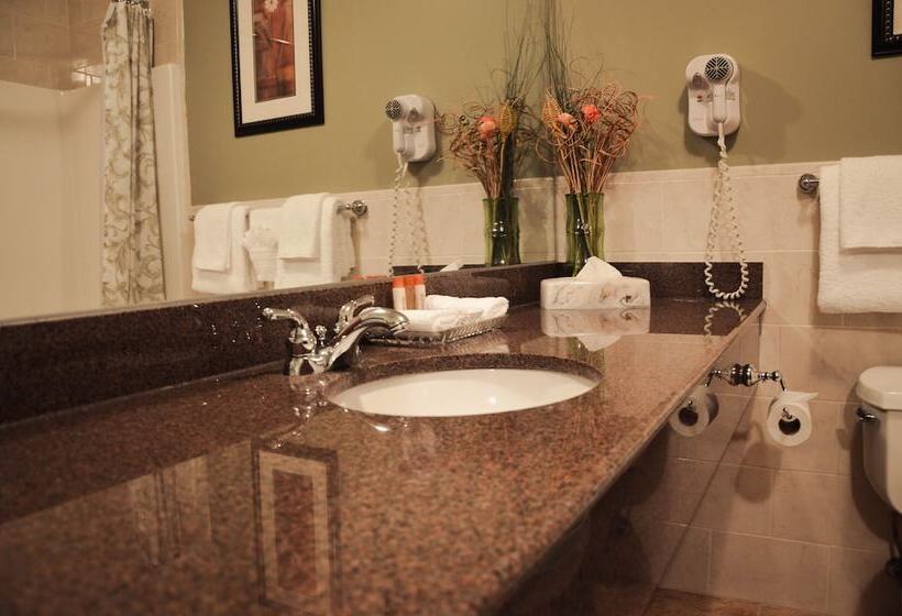 ホテル Belvedere Inn Schenectady   Albany