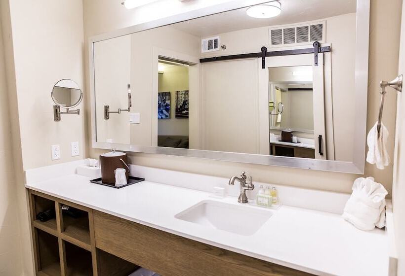 هتل Fredericksburg Inn And Suites