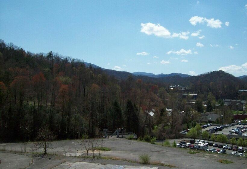 فندق Gatlinburg Chateau Rentals