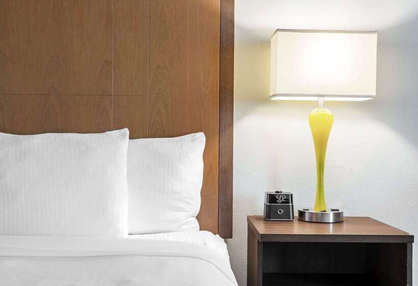 هتل La Quinta By Wyndham Brownsville North