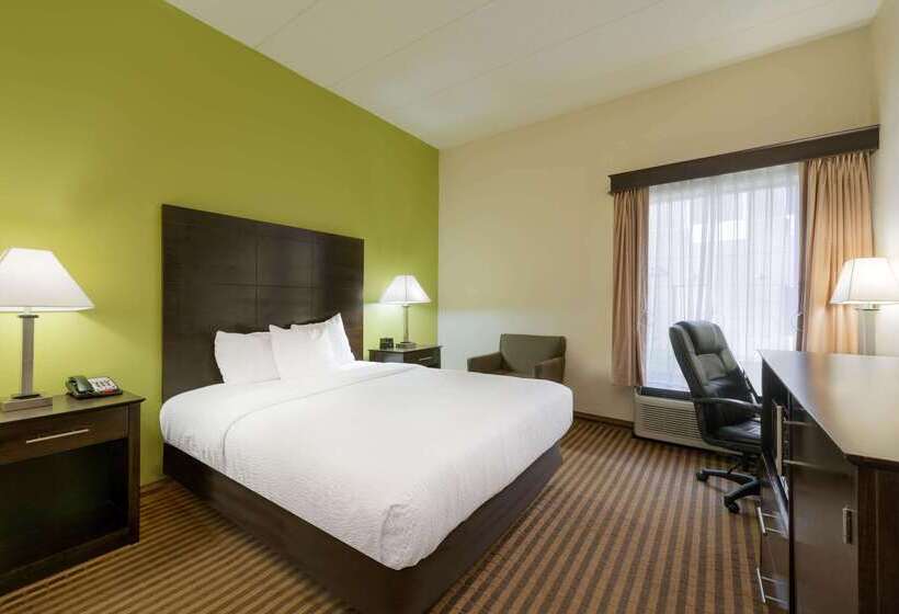בית מלון כפרי La Quinta Inn & Suites By Wyndham Columbus   Grove City