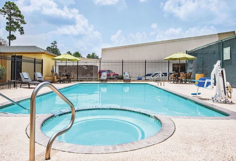 בית מלון כפרי La Quinta Inn & Suites By Wyndham The Woodlands/spring