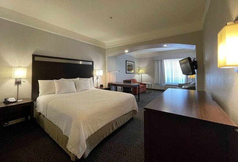 هتل Spark By Hilton Houston West Clay Road