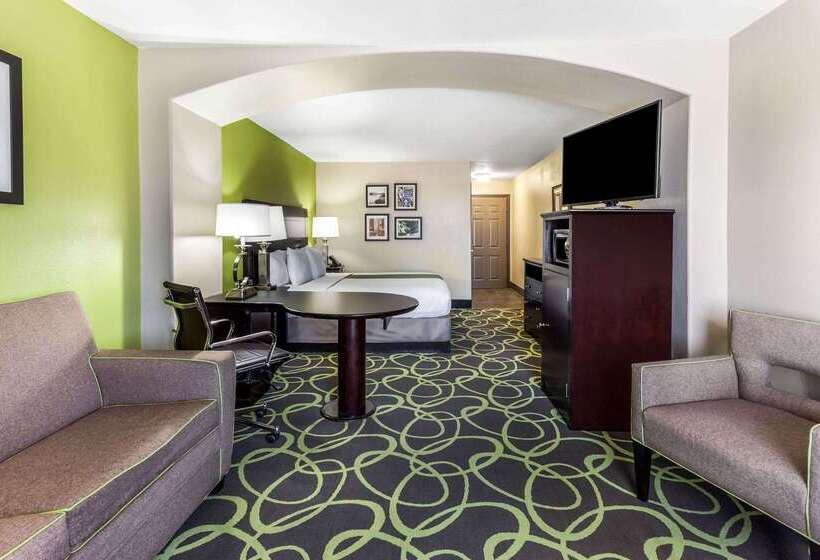 酒店 La Quinta By Wyndham New Braunfels