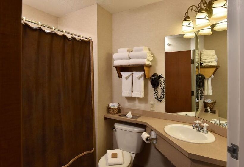 Stoney Creek Hotel La Crosse   Onalaska