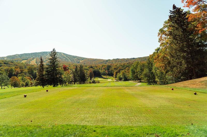 酒店 The Black Bear Lodge At Stratton Mountain Resort