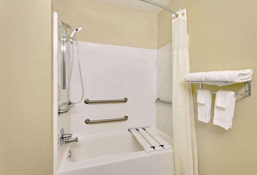 Microtel Inn & Suites By Wyndham Thomasville/high Point/lexi