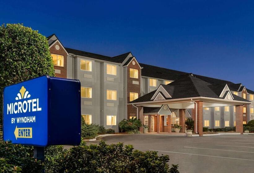 Microtel Inn & Suites By Wyndham