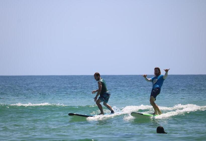 هاستل Backpackers Inn On The Beach