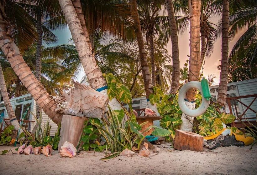 Fotos del hotel Reina Del Mar By Dorado:  14