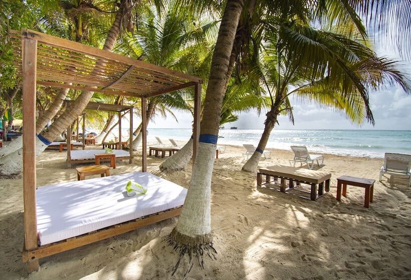 Fotos del hotel Reina Del Mar By Dorado:  19