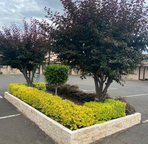 فندق على الطريق All Seasons Motor Lodge