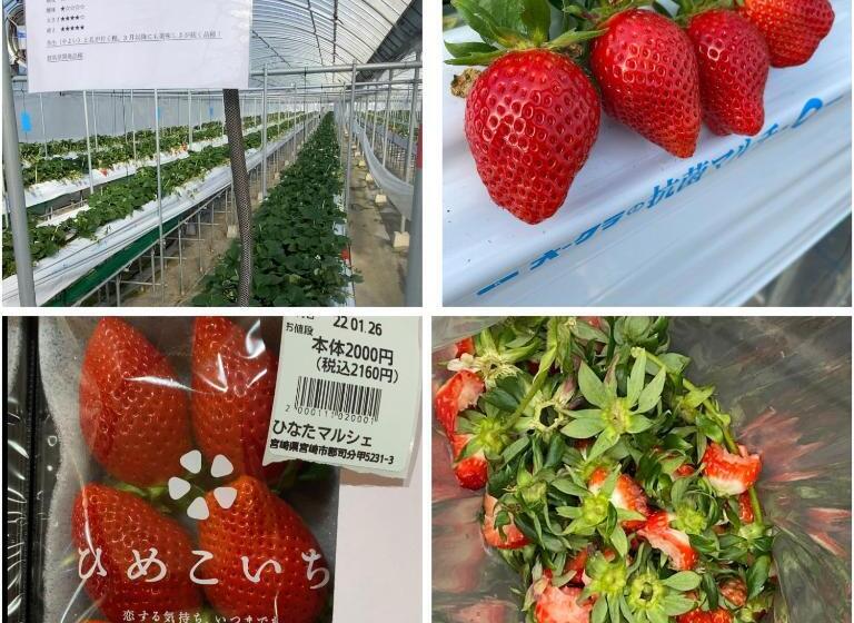 Pension ゲストハウス宮崎 Guesthouse Miyazaki バックパッカー向け個室旅人宿 P有宮崎駅1km喫煙者不可