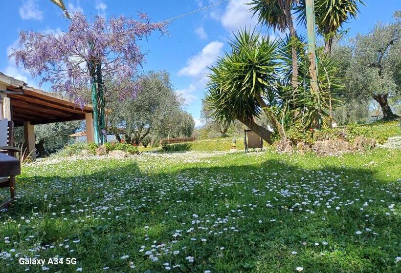 호텔 Agriturismo Bio Pian Dei Casali
