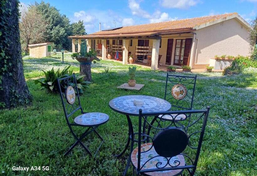 호텔 Agriturismo Bio Pian Dei Casali