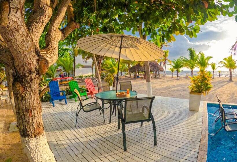 هتل Quinta Del Mar La Joya