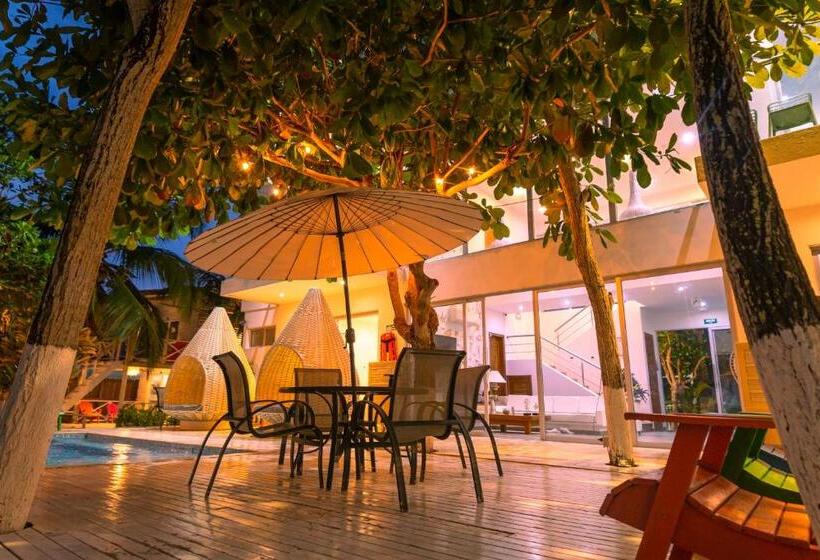 هتل Quinta Del Mar La Joya