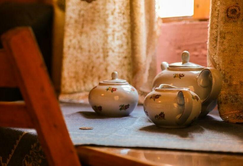 بنسيون Bujtina Leon's Apartments