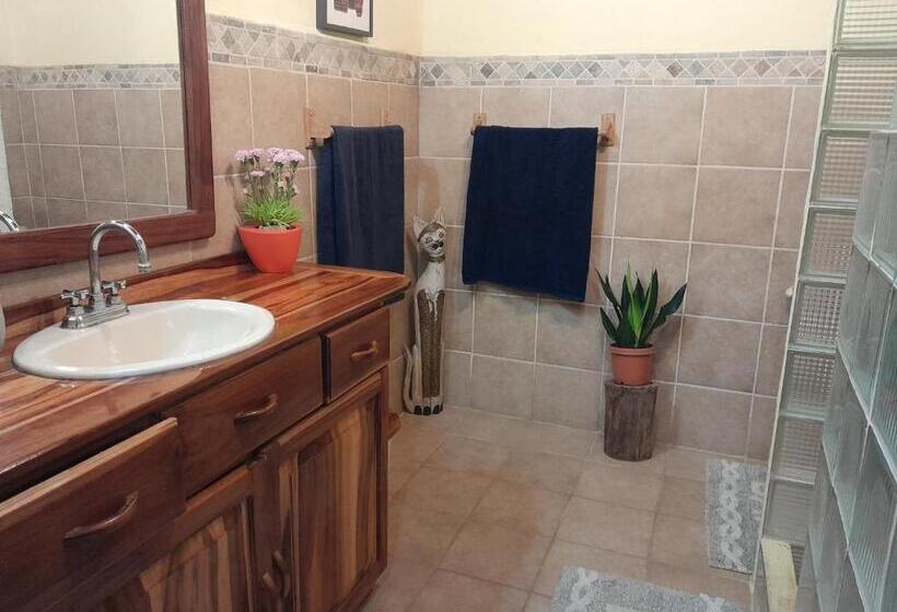 پانسیون Casas Guaney, Full Furnished Studios!