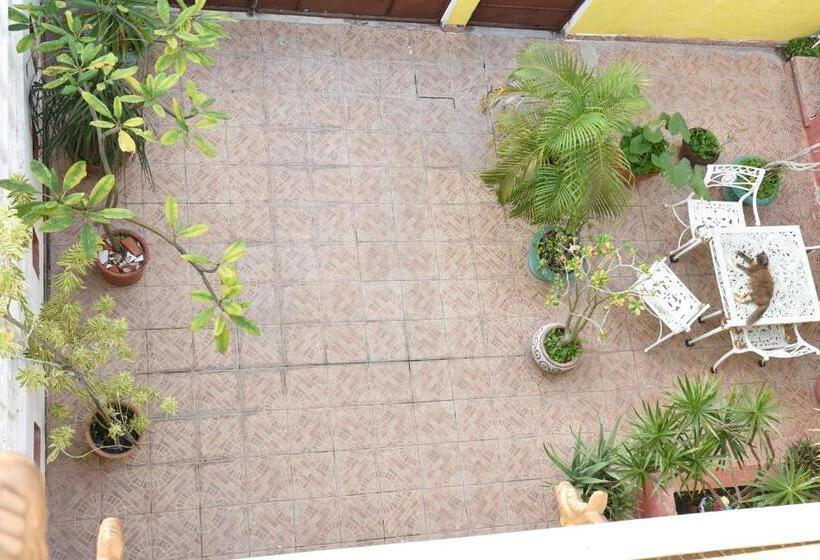 Bed and Breakfast Cancun Guest House 6