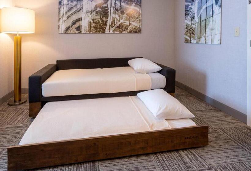 ホテル Springhill Suites Minneapolis Maple Grove/arbor Lakes