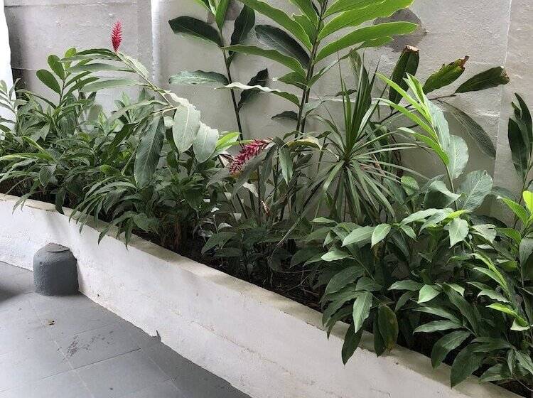 پانسیون Casa Maria Pousada