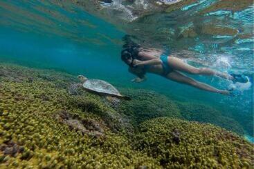 پانسیون Holiday Cottage Thoddoo, Maldives
