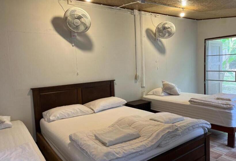 هاستل Brown House Chiangdao