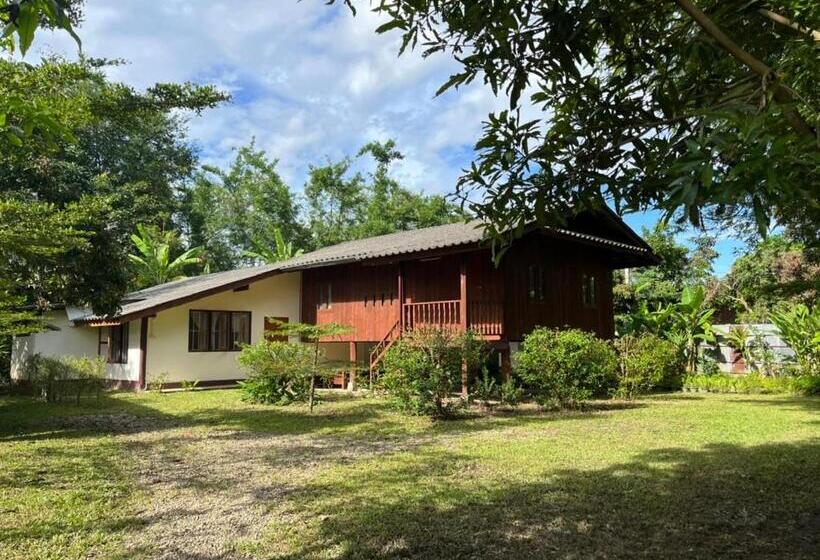 هاستل Brown House Chiangdao